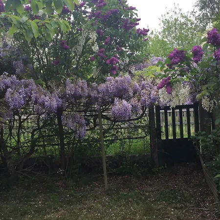 Charming Percheron House *