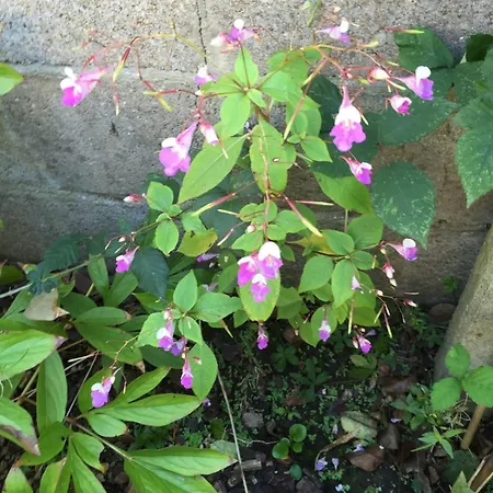 Charming Percheron House Сasa de vacaciones