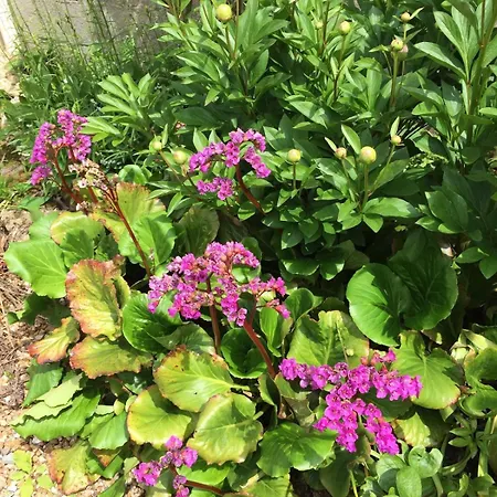 Сasa de vacaciones Charming Percheron House *