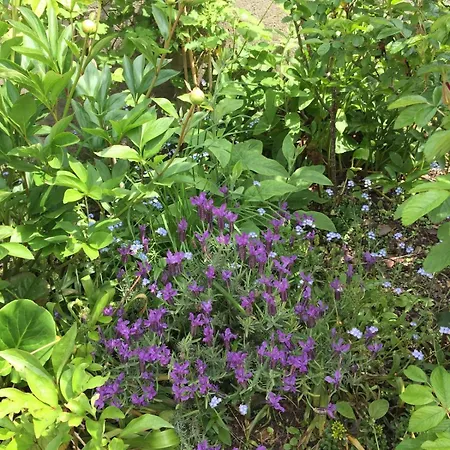 Charming Percheron House Сasa de vacaciones *