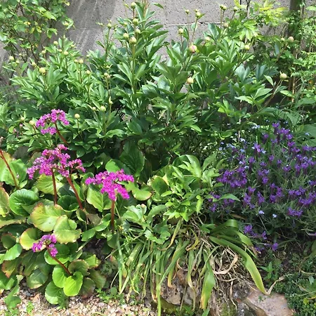 Charming Percheron House *