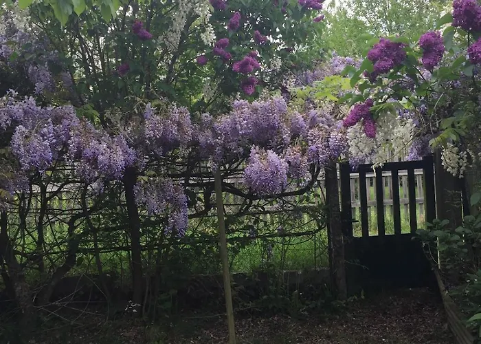 Charming Percheron House *