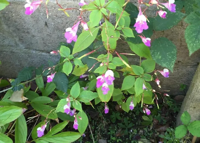 Charming Percheron House Hébergement de vacances