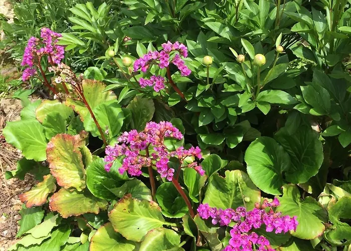 Hébergement de vacances Charming Percheron House *