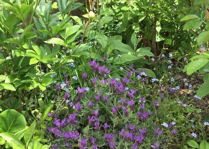 Charming Percheron House Hébergement de vacances *