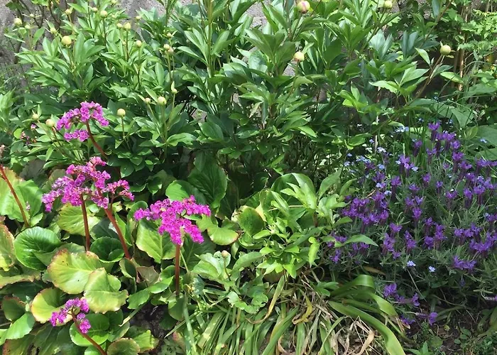 Charming Percheron House *